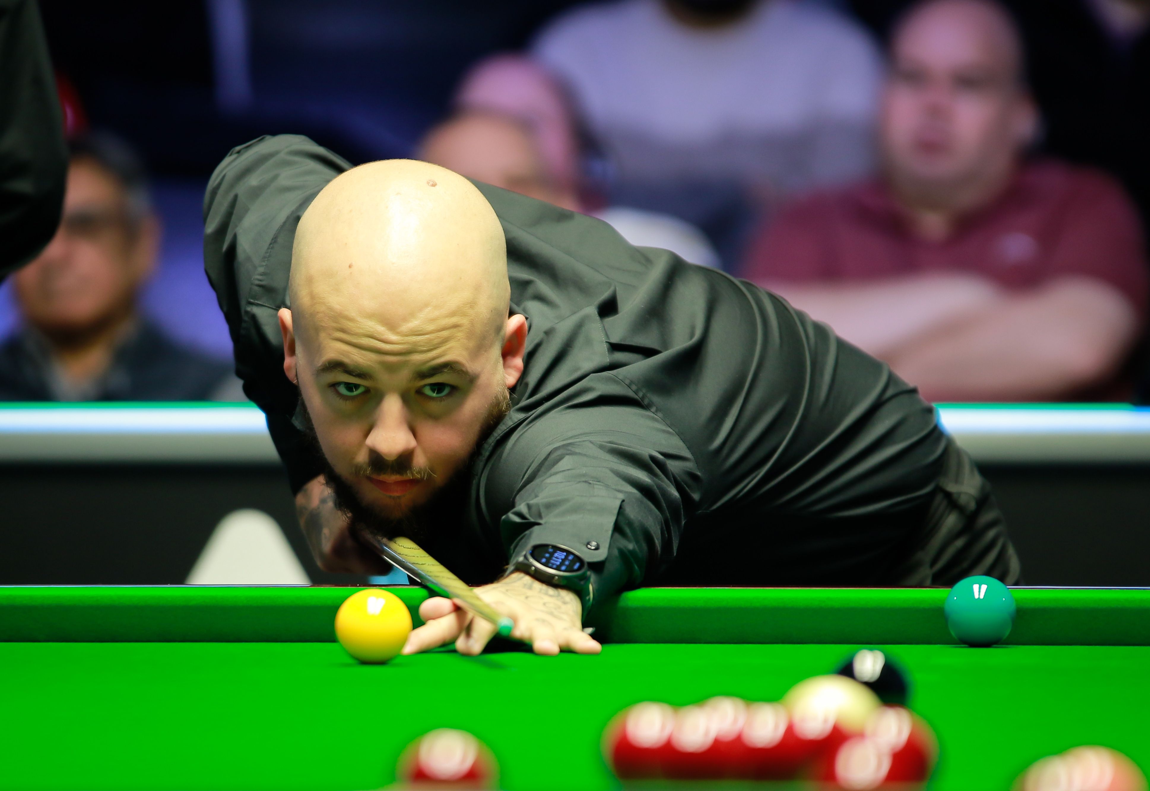 社交媒体庆 社交媒体庆